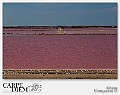 316-1620 x 1080---16L Camargue_2735